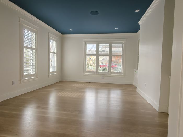 Finished room with white walls, shuttered windows, wood floor, and dark blue ceiling.